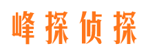 沙坪坝侦探